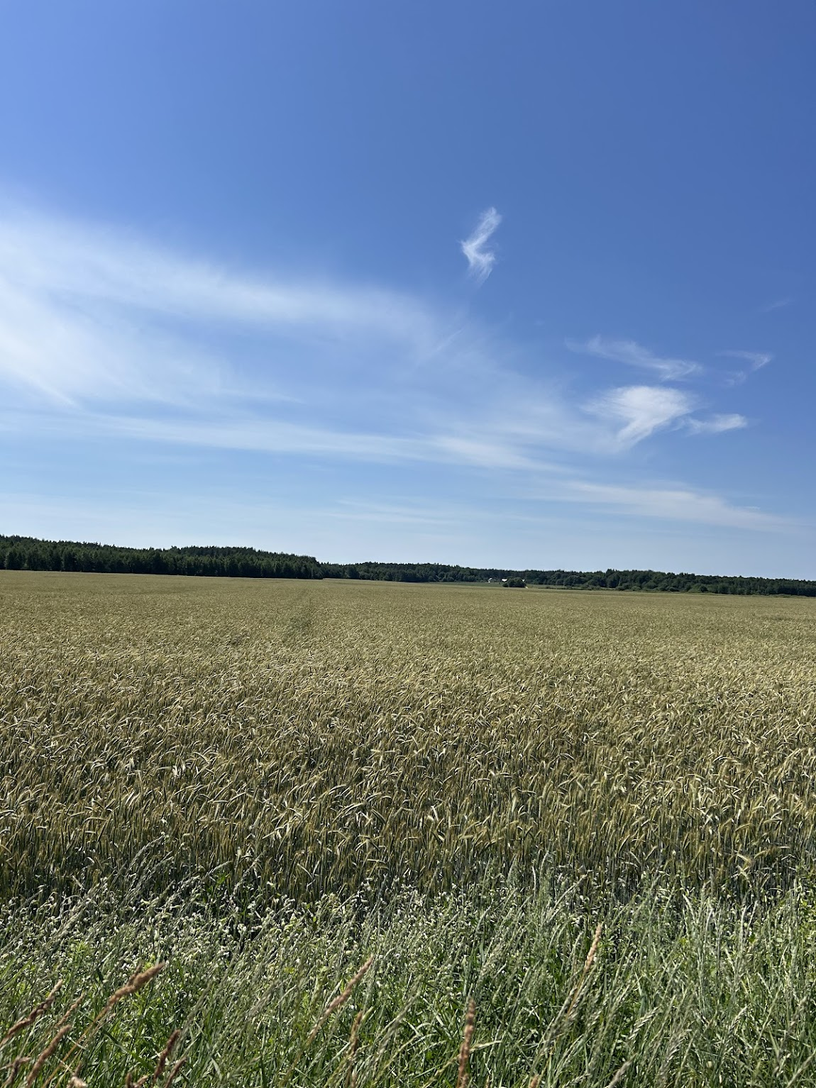 Гравійны ўчастак маршруту Камні 200 да 140-га кіламетра